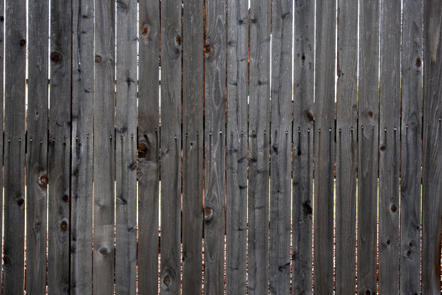 Wooden fence bird perched top free wallpaper - medium preview image