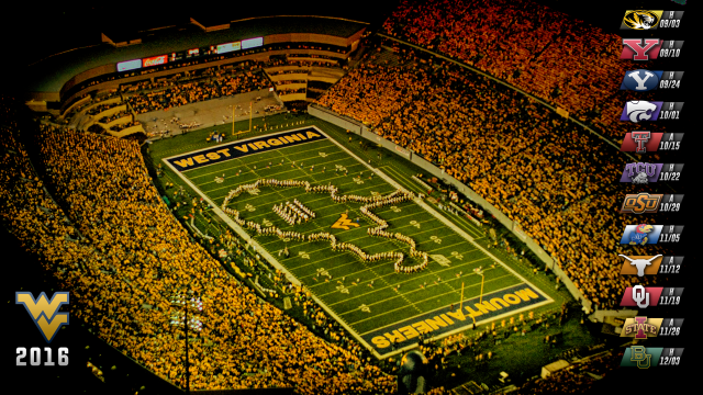 Stadium fans football field banner free wallpaper - medium preview image