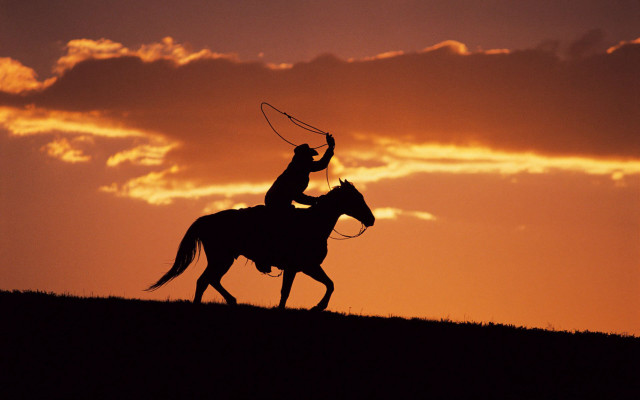 Man horse lasso sunset dawn free wallpaper - medium preview image
