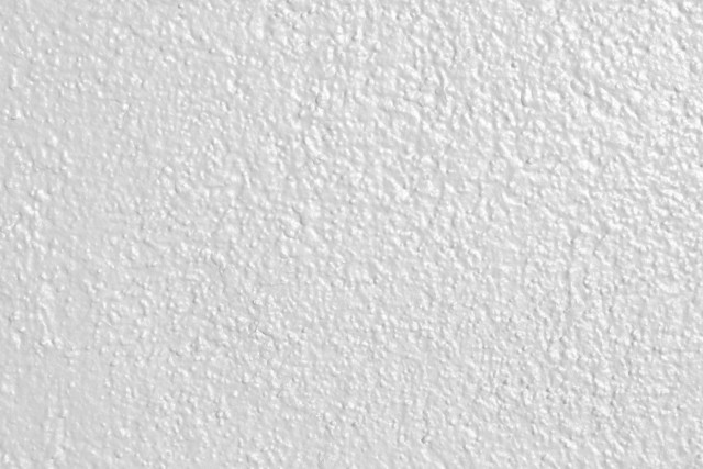White wall black white cat #2 free wallpaper - medium preview image