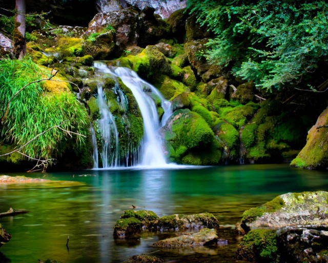 Waterfall forest mossy rocks trees #20 free wallpaper - medium preview image