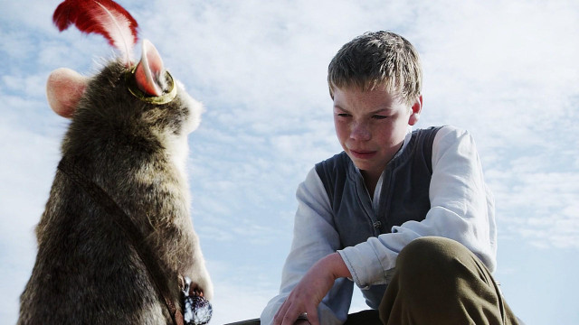 Boy petting rat animal looking free wallpaper - medium preview image