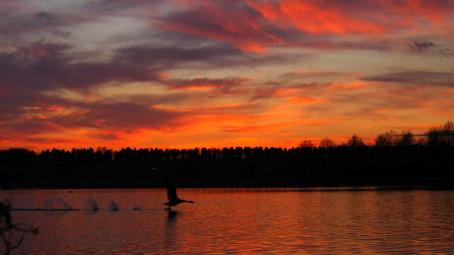 Person rowing boat lake sunset free wallpaper - medium preview image