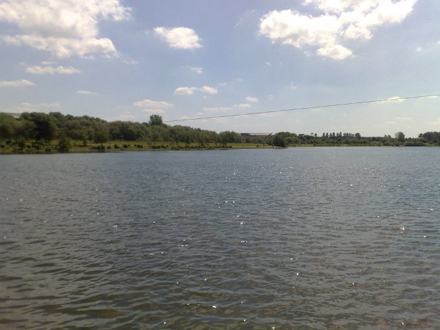 Lake powerline trees sunny blue free wallpaper - medium preview image