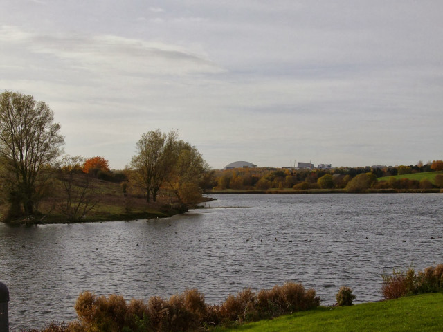 Fall water trees grass cloudy free wallpaper - medium preview image