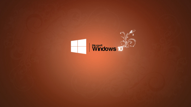 Red wall window white flower free wallpaper - medium preview image