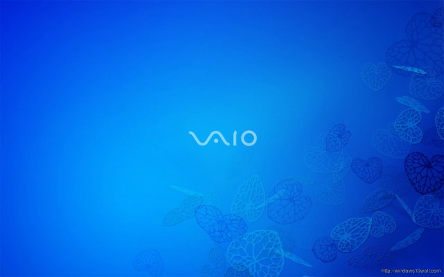Blue wall white vaio logo free wallpaper - medium preview image