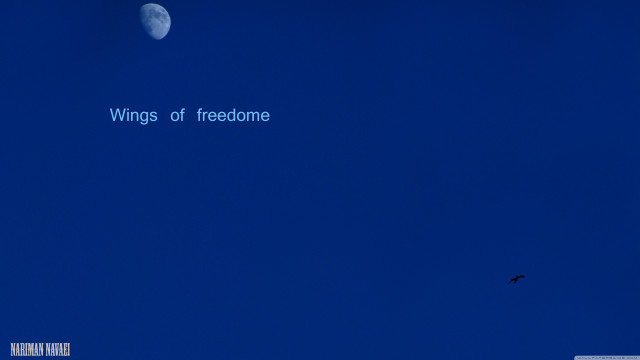 Bird moon sky flying quote free wallpaper - medium preview image