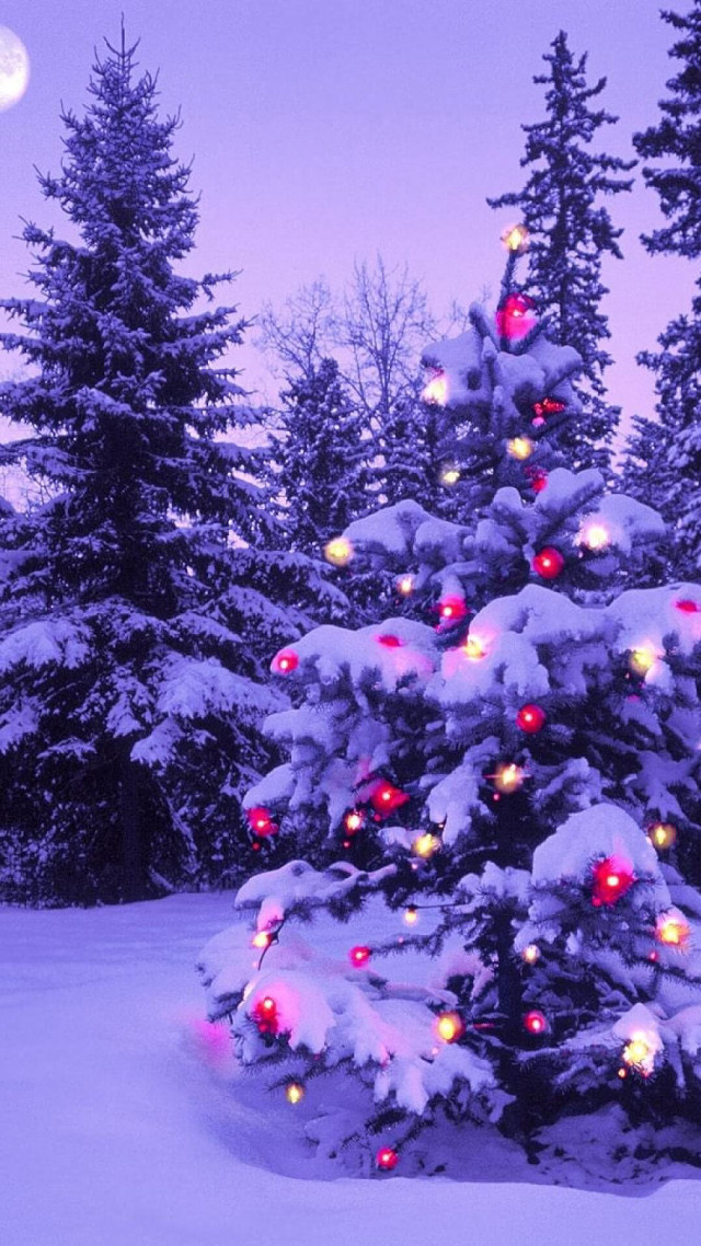 Christmas tree snow moon purple free wallpaper - medium preview image