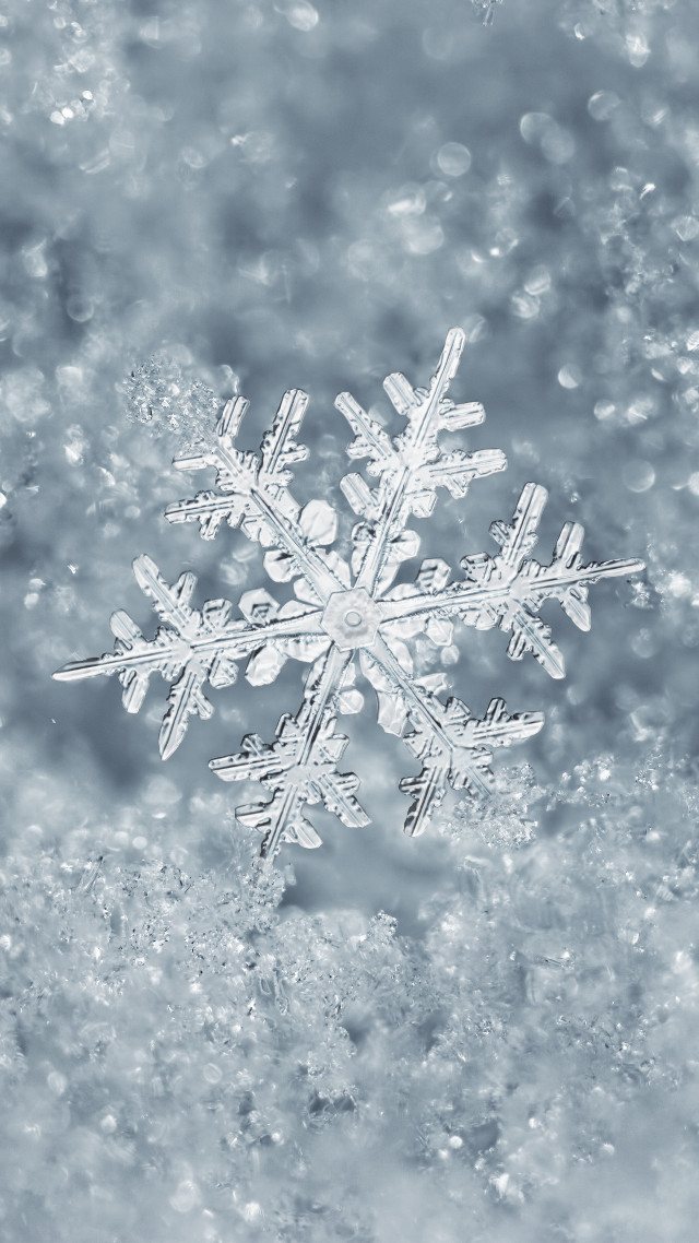 Snowflake ambient occlusion winter cherry free wallpaper - medium preview image