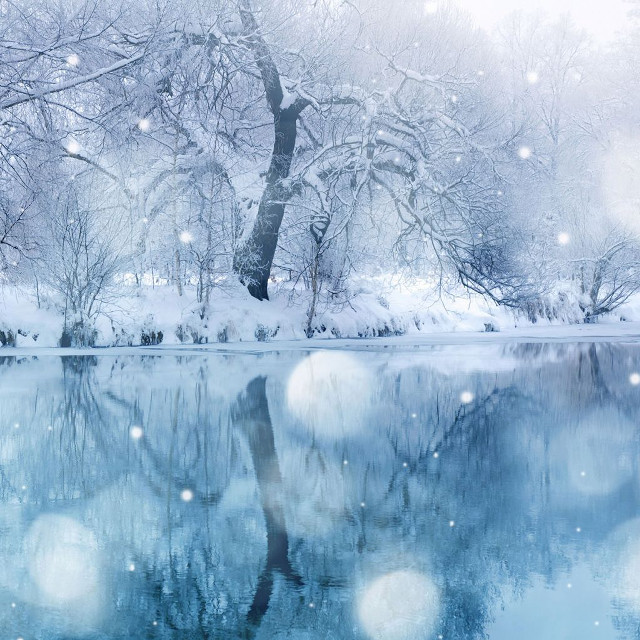 Snowy lake trees moon winter free wallpaper - medium preview image
