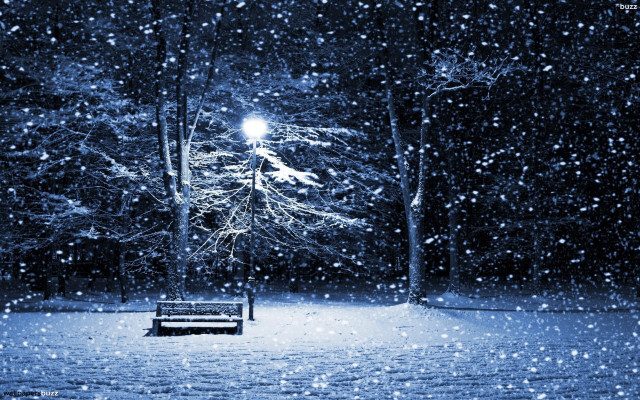 Snowy bench night streetlight magical free wallpaper - medium preview image