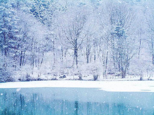 Snowy scene lake trees snowfall free wallpaper - medium preview image