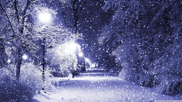 Snowy path street light trees free wallpaper - medium preview image