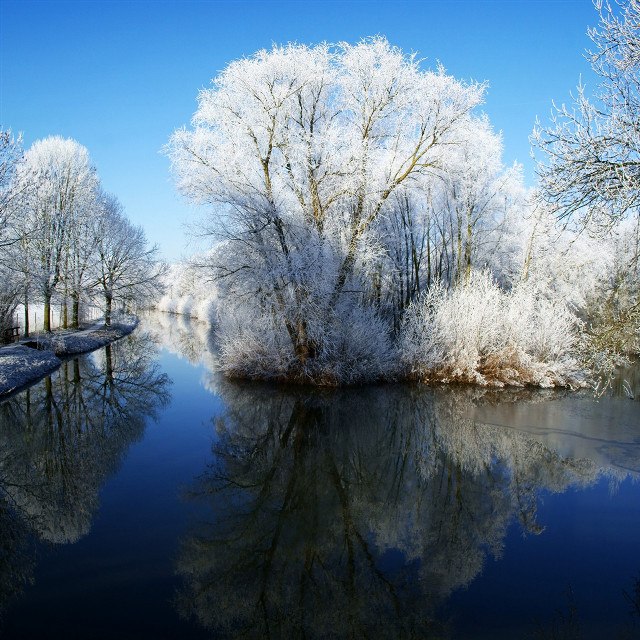 River trees blue sky clouds #2 free wallpaper - medium preview image