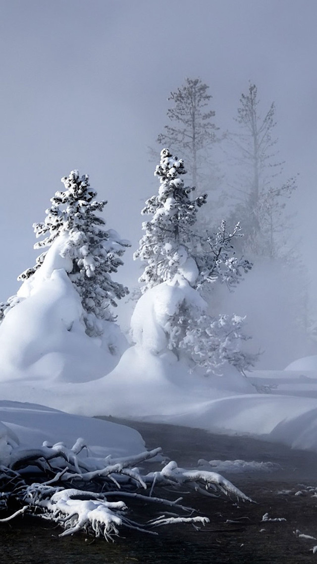 Winter stream snow covered forest free wallpaper - medium preview image