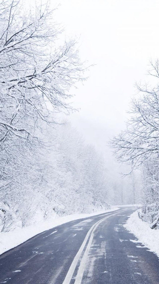 Snowy road with trees stop free wallpaper - medium preview image