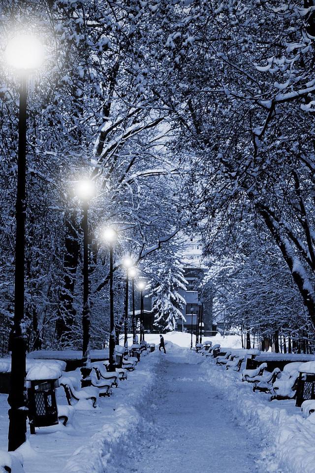 Snowy path bench streetlight clocktower free wallpaper - medium preview image
