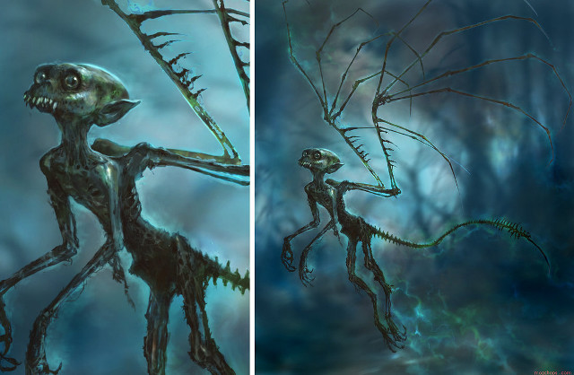 Creature woods tree branch foreground free wallpaper - medium preview image