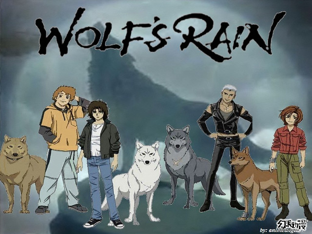 People dogs wolf mountain group free wallpaper - medium preview image