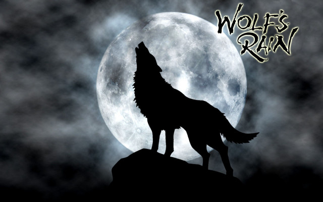 Wolf standing hill full moon free wallpaper - medium preview image