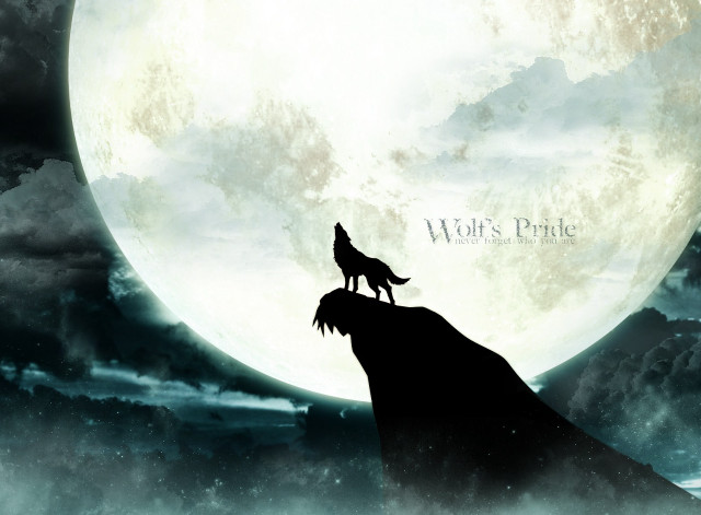 Wolf cliff fullmoon clouds sky free wallpaper - medium preview image
