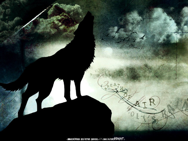 Wolf rock sky clouds background free wallpaper - medium preview image