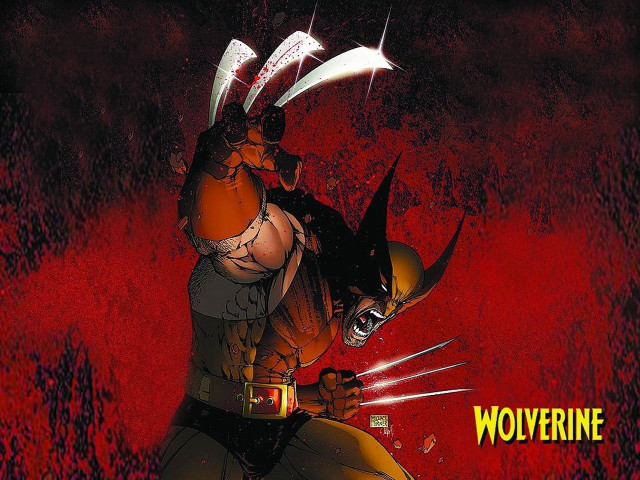 Wolverine character claws head chest free wallpaper - medium preview image
