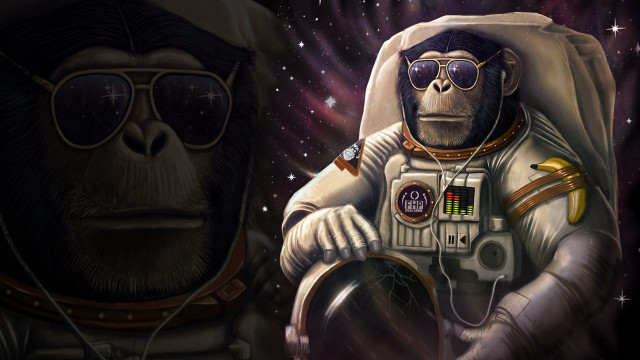Monkey space suit sunglasses astronaut free wallpaper - medium preview image