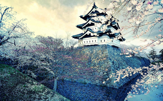 Castle moat bridge cherry blossoms free wallpaper - medium preview image