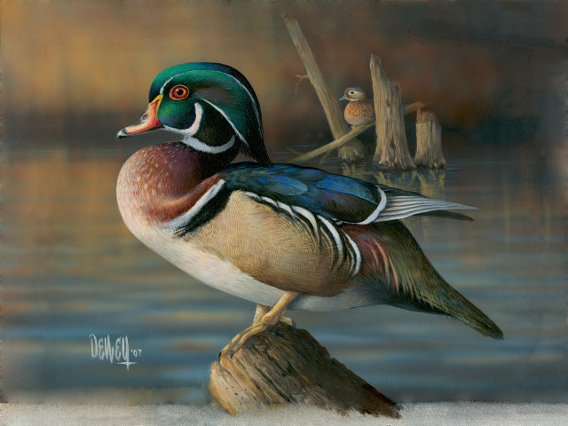 Duck log water bird perched free wallpaper - medium preview image