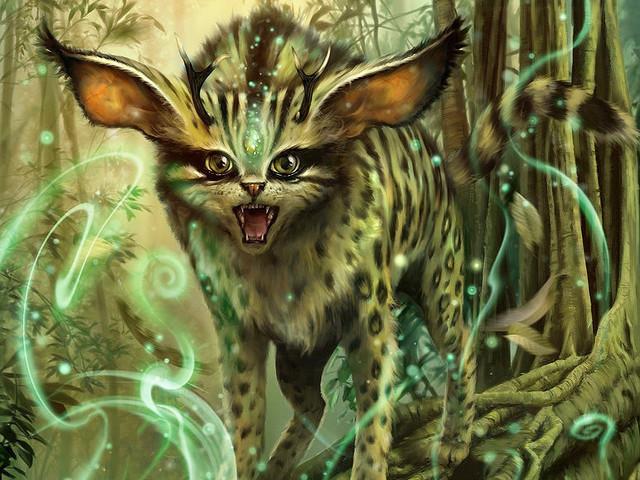 Cat weird face woods snake free wallpaper - medium preview image