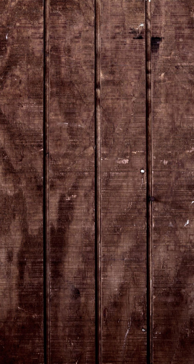 Cat sitting wooden bench wall free wallpaper - medium preview image
