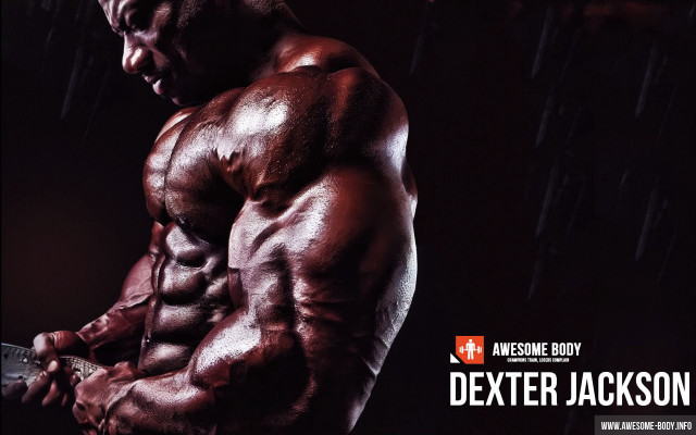 Muscular man no shirt image #2 free wallpaper - medium preview image