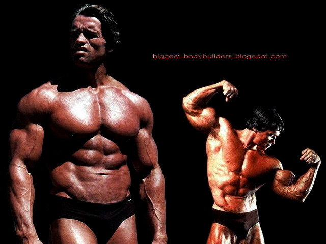 Muscular men underwear posing arms free wallpaper - medium preview image