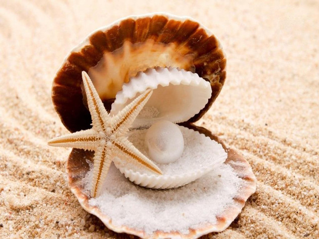 Starfish shell white ball sandy free wallpaper - medium preview image