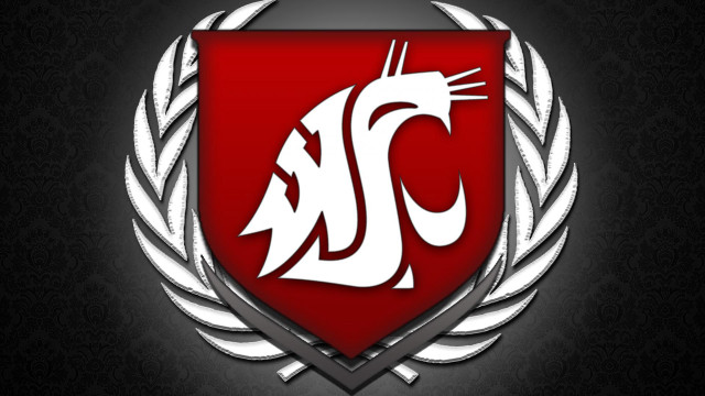 Red white shield dragon silver free wallpaper - medium preview image