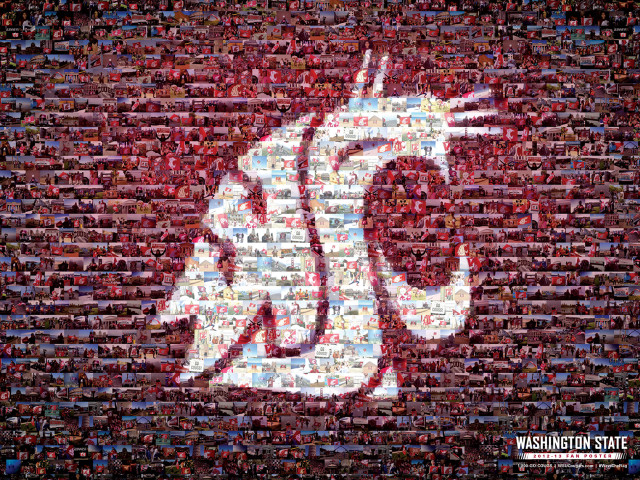 Washington state football team logo free wallpaper - medium preview image