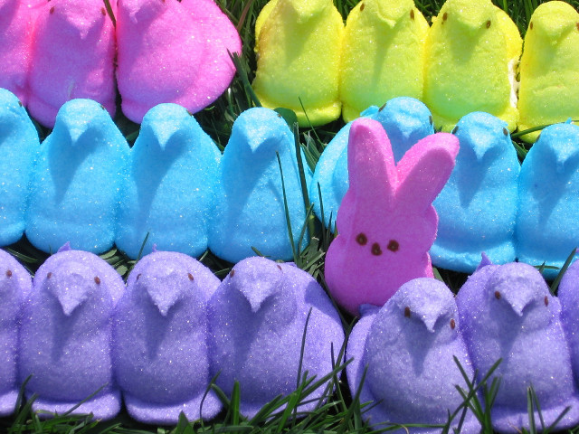 Peeps row grass sitting together free wallpaper - medium preview image