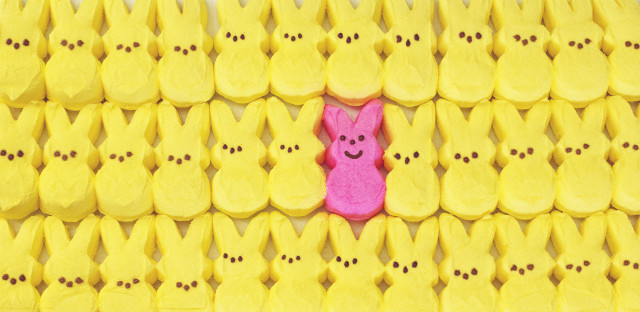 Pink bunny peeking yellow wall free wallpaper - medium preview image