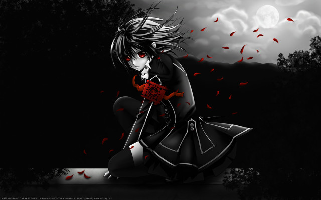 Woman sitting red rose black free wallpaper - medium preview image