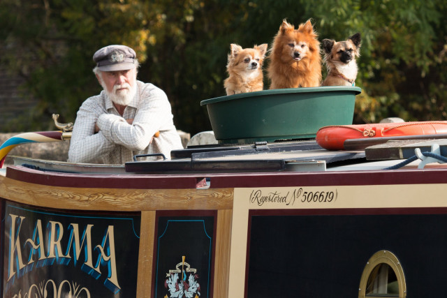 Man three dogs boat water free wallpaper - medium preview image