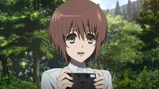 Person holding camera forest trees free wallpaper - medium preview image