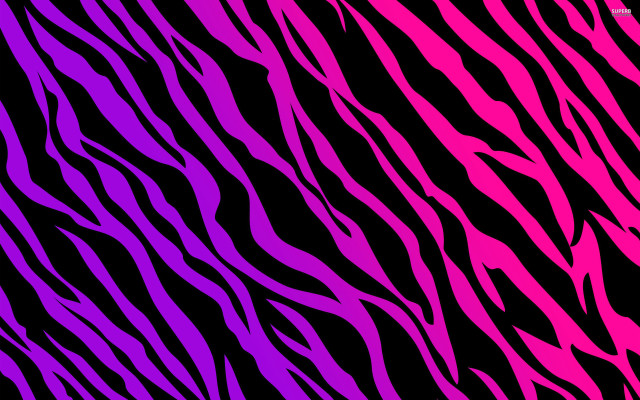 Zebra print black background pink #2 free wallpaper - medium preview image