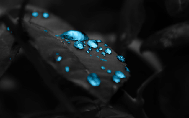 Leaf blue drops water surface #4 free wallpaper - medium preview image