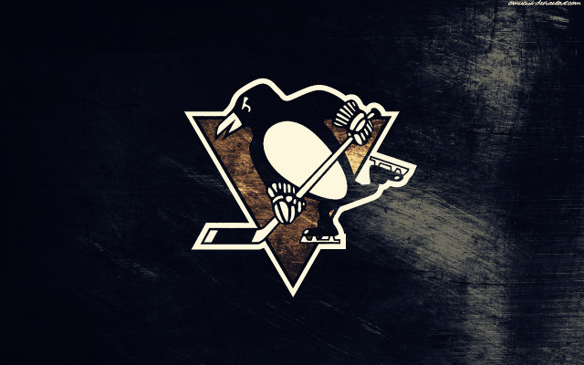 Hockey team logo black background free wallpaper - medium preview image