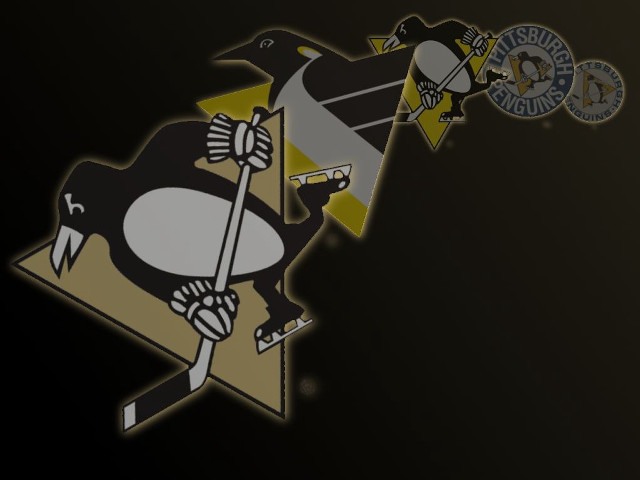 Hockey team logo skeleton holding free wallpaper - medium preview image