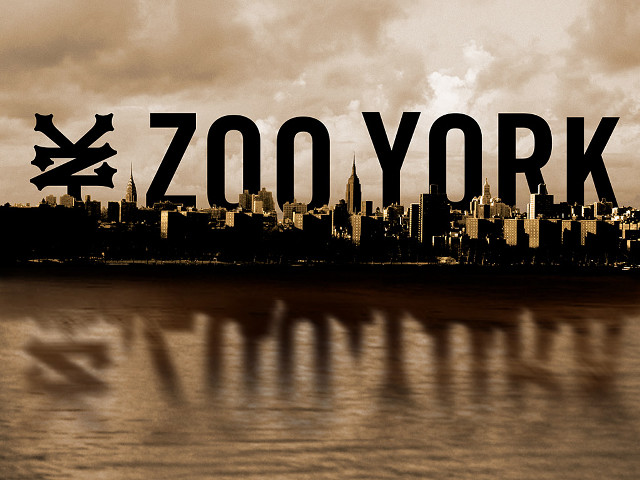 Zoo york city cloudy sky free wallpaper - medium preview image