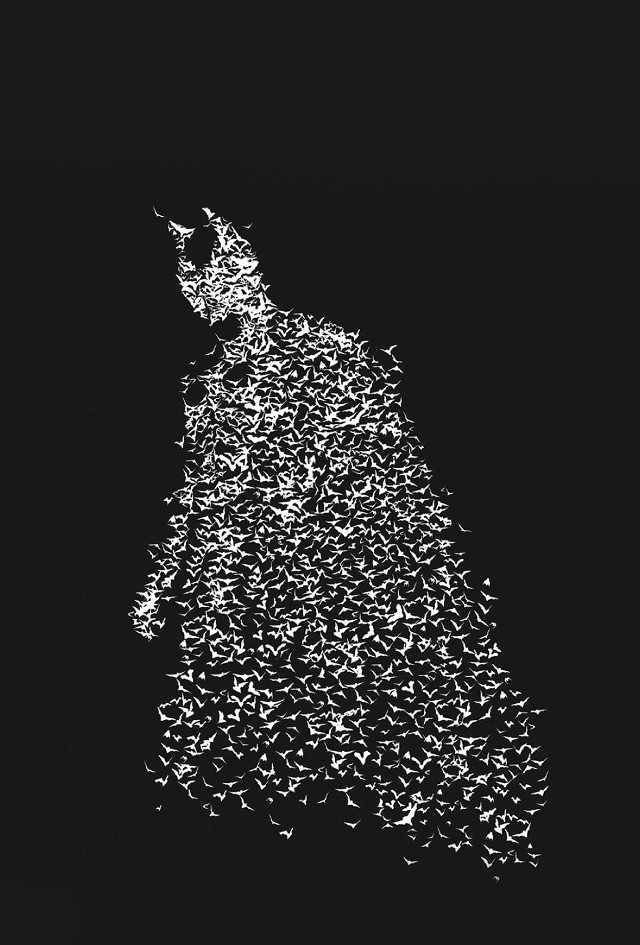 Man birds coat hat black free wallpaper - medium preview image