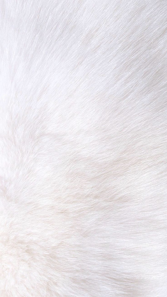 White fur black background white free wallpaper - medium preview image